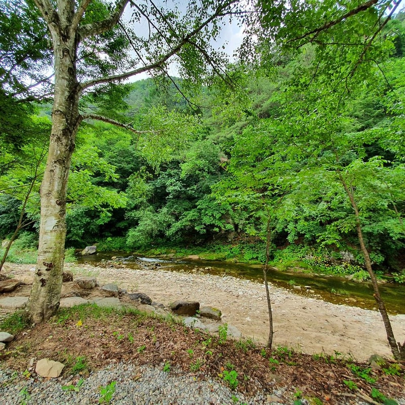 강원 홍천 알프스밸리 캠핑나라 글램독 시설 사진 10