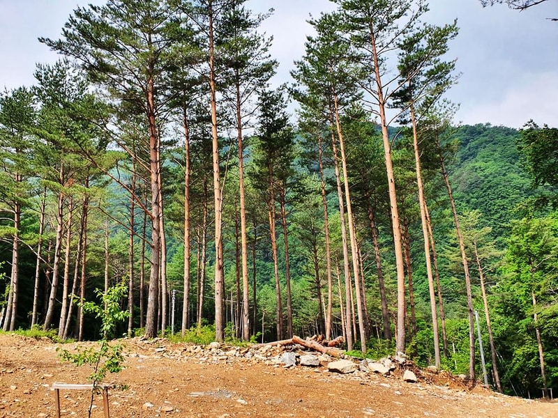 바람부리 별밤 캠핑장 시설 사진 39