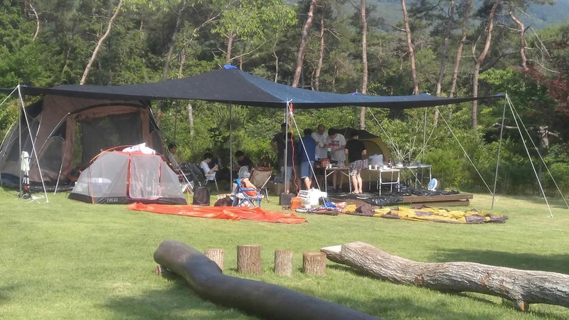 숲속의베리팜 시설 사진 35