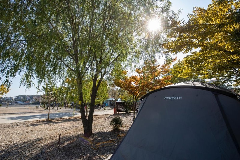 선재오토캠핑장 시설 사진 9