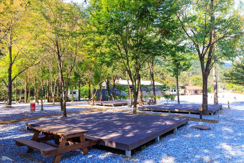 포레스트힐링캠프 시설 사진 19