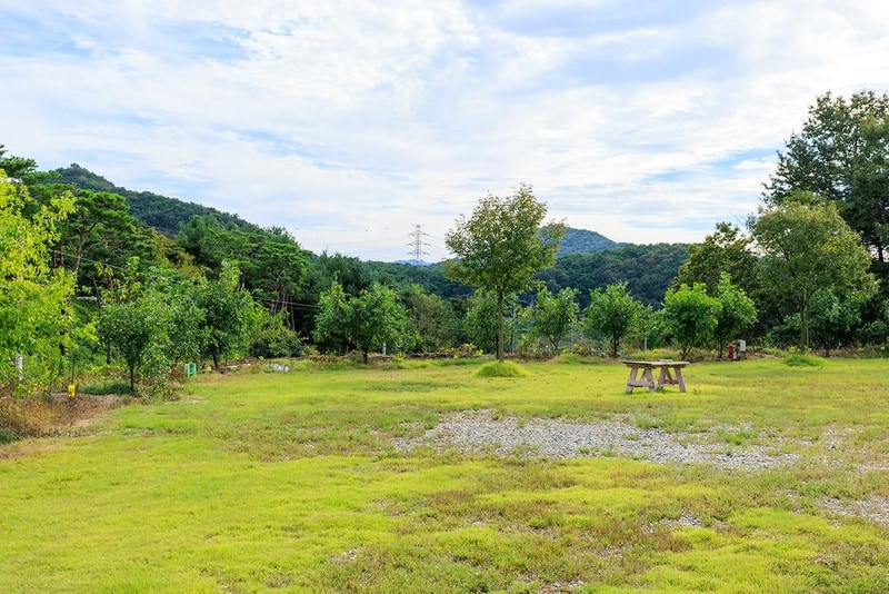 숲속의 관광농원 시설 사진 3