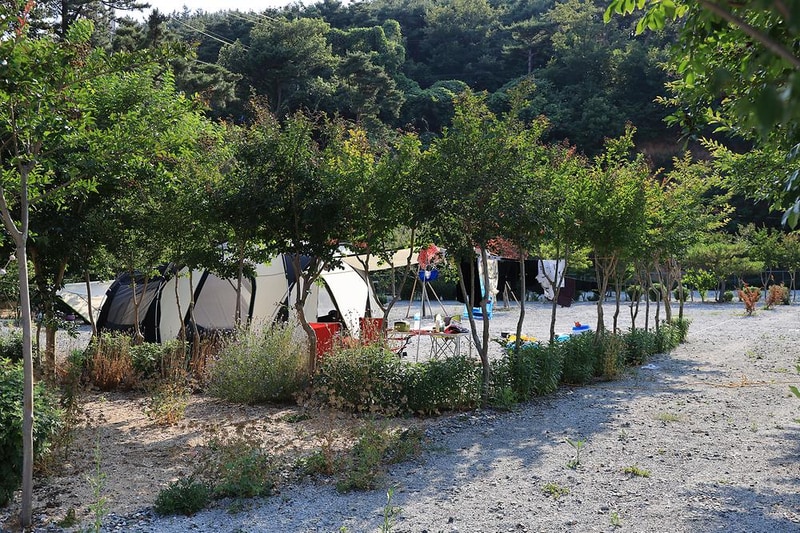 팔봉갯벌체험야영장 시설 사진 3