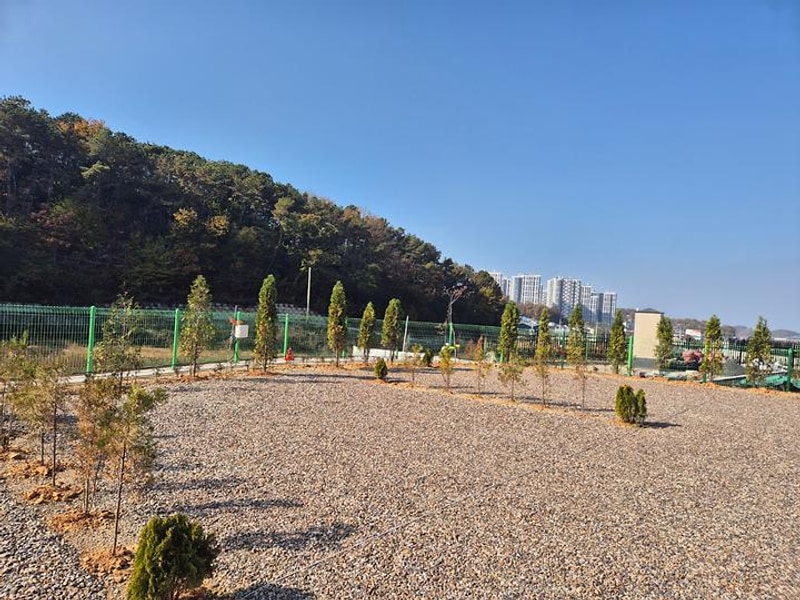 파주 성수캠핑장 대표 사진