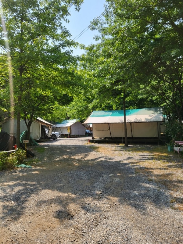 가평 둥지캠핑장 : 타프가 있어 편한 슈돌 박인비 캠핑장