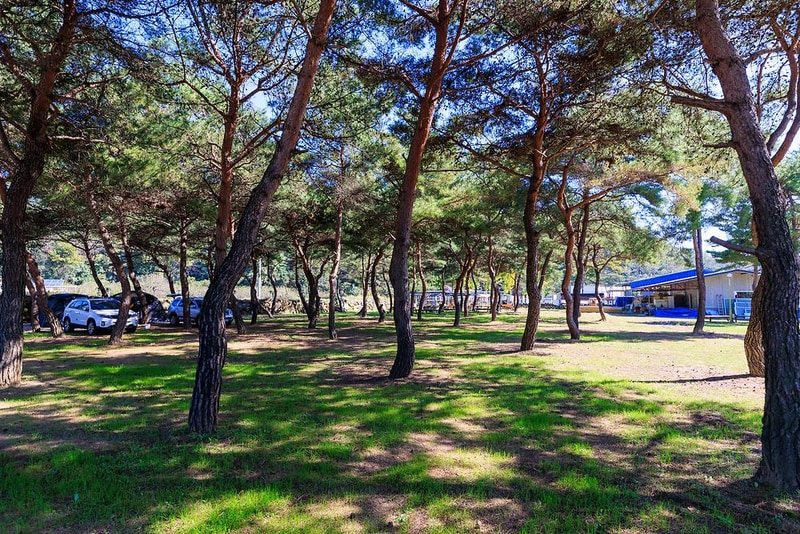 성보촌 캠핑장 시설 사진 14