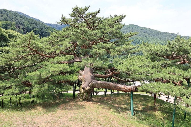 스푼 글램핑 카라반 시설 사진 1