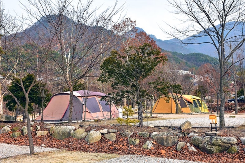 계곡 물놀이하기 좋은 캠핑장, 포천 몬테비얀코 캠핑장! 포천...