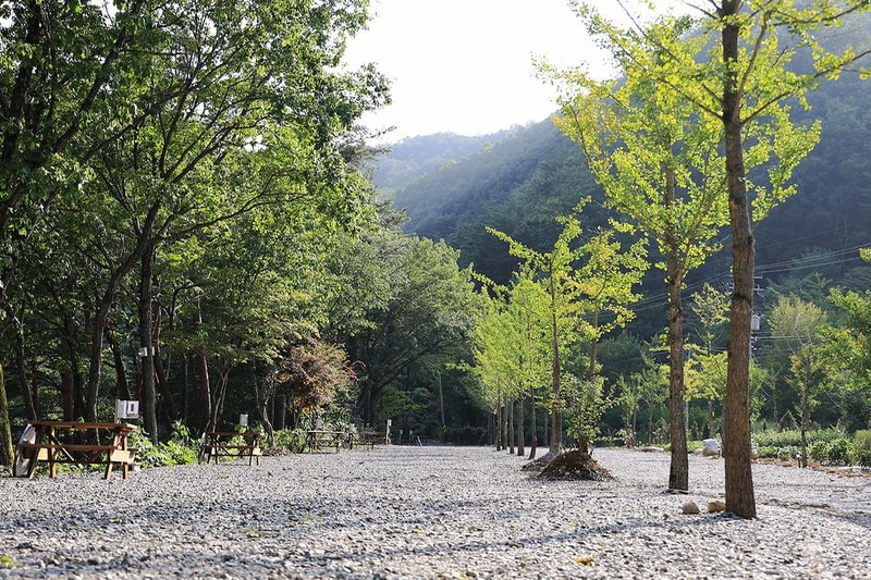 법수치오토캠핑장 시설 사진 3