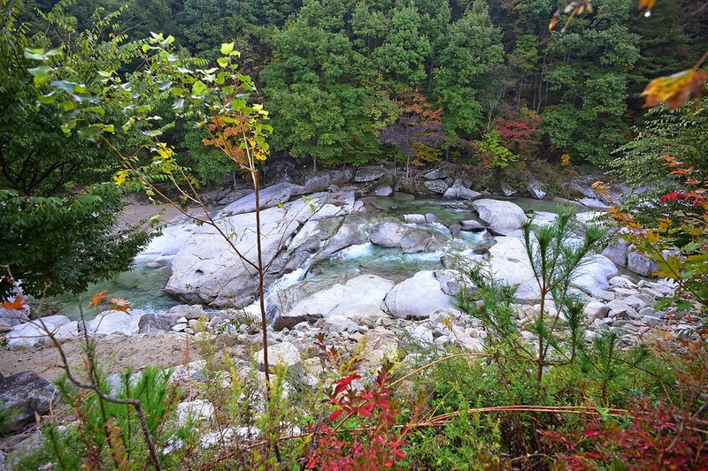 월성오토캠핑장 시설 사진 5