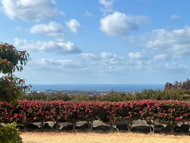 제주글램핑 애월캠핑장 애월별헤는밤