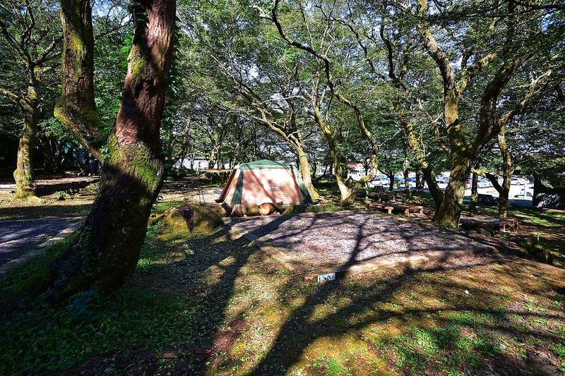 한라산국립공원 관음사지구 야영장 시설 사진 1