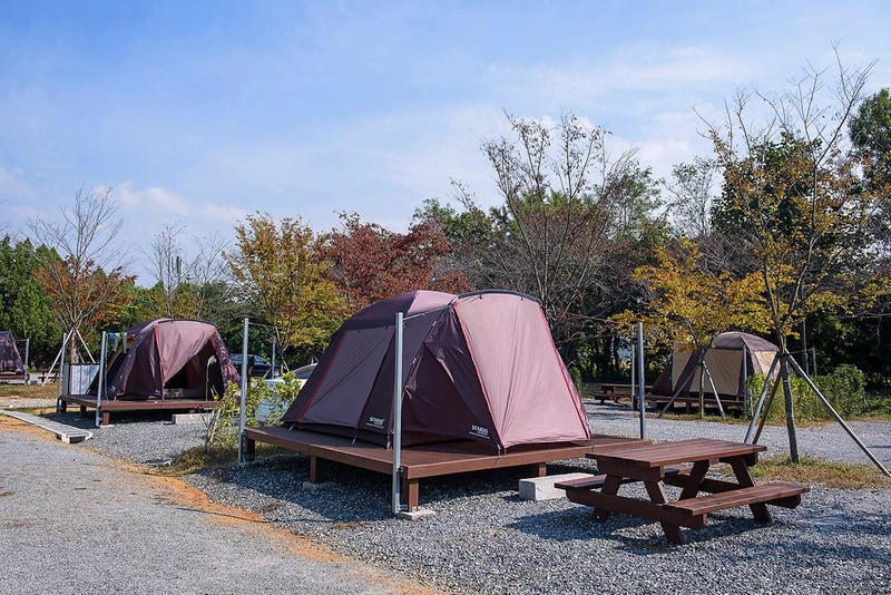 함평나비마을 서울캠핑장 시설 사진 6