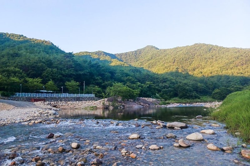 늘푸른캠핑장 시설 사진 10