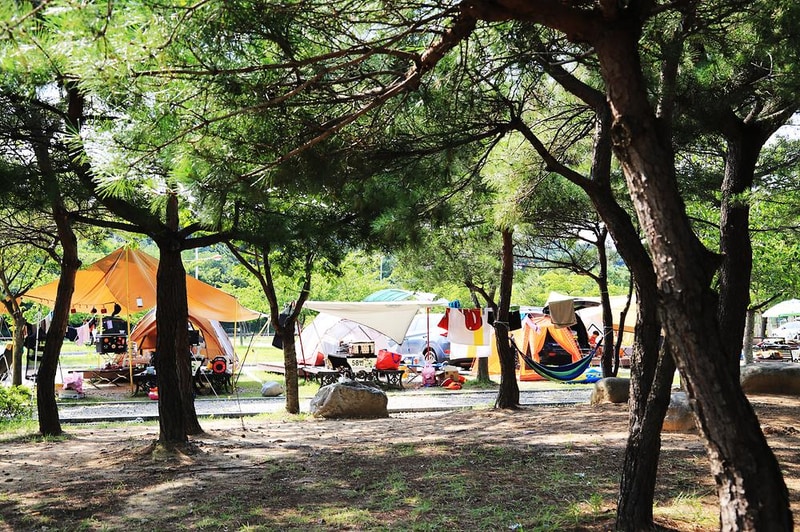 송지호 오토 캠핑장 시설 사진 13