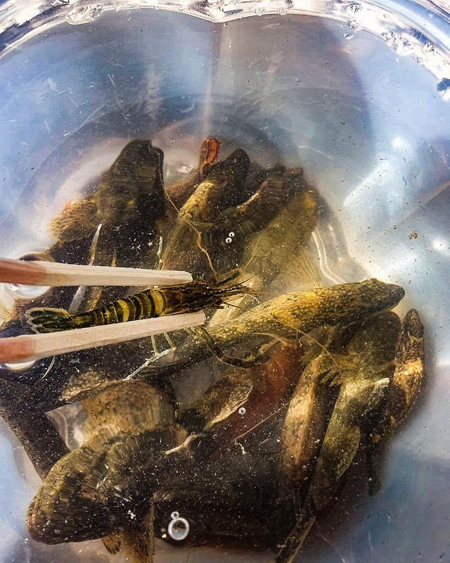 구름계곡캠핑장 시설 사진 18