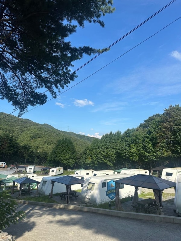 제천카라반에서 즐기는 숲캉스와 불멍, 가족과 함께하는 힐링...