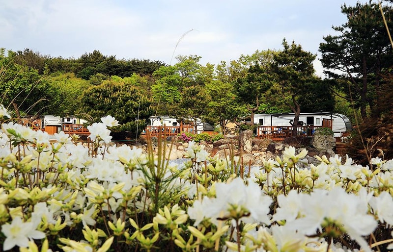 와우파크 시설 사진 1