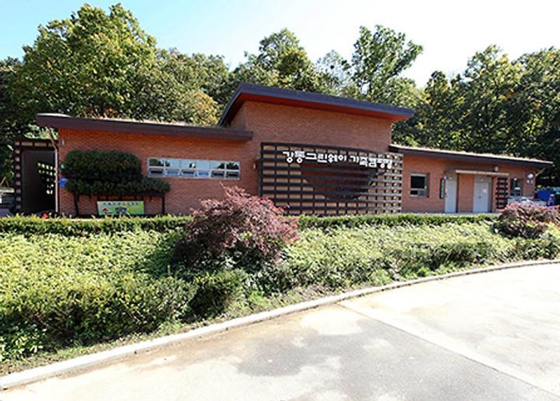 강동 그린웨이 가족캠핑장 대표 사진