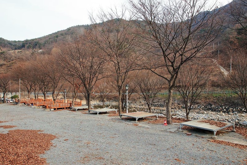 엘림펜션 오토캠핑장 시설 사진 12
