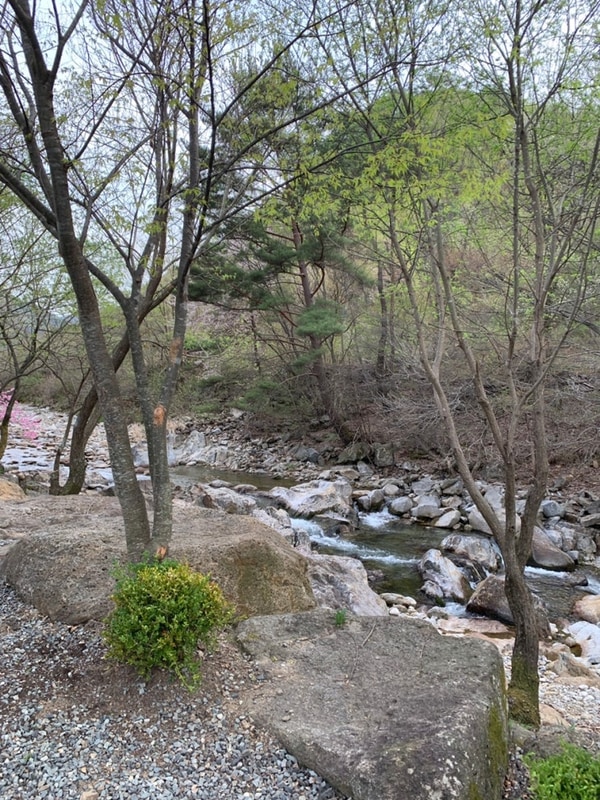 계곡 캠핑장 추천 충북 영동 별밤펜션캠핑장 아이와 어른 모두...