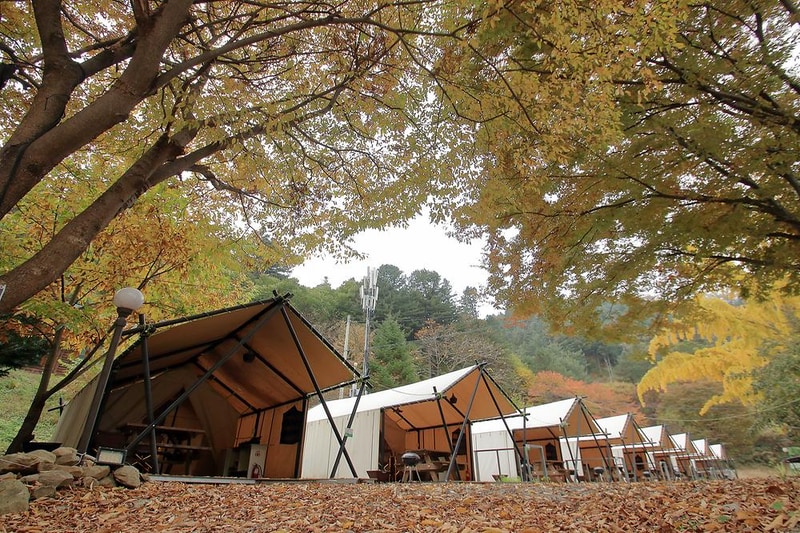 브루조아 시설 사진 20