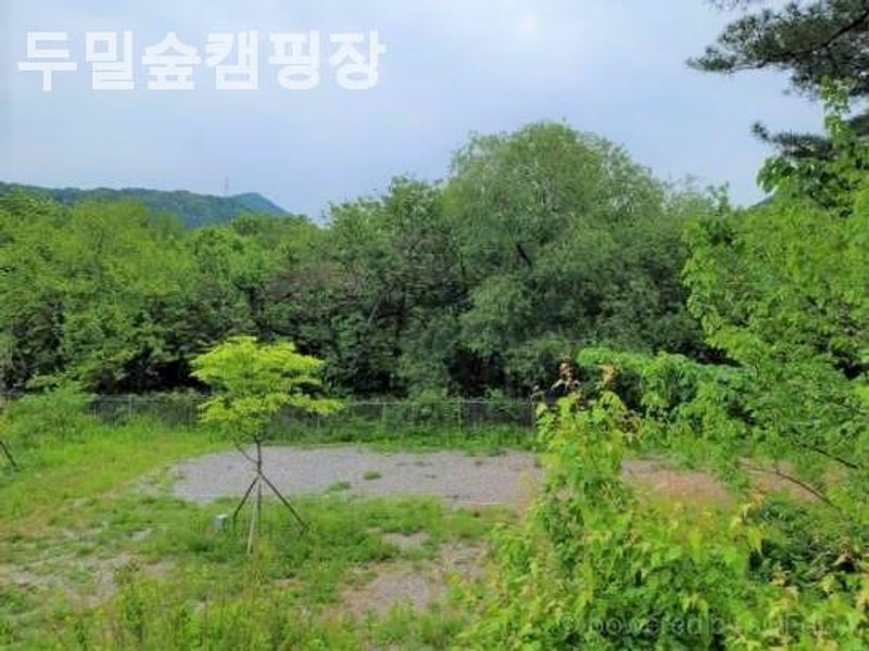 가평 캠핑장 두밀숲캠핑장 깨끗하고 조용한 곳