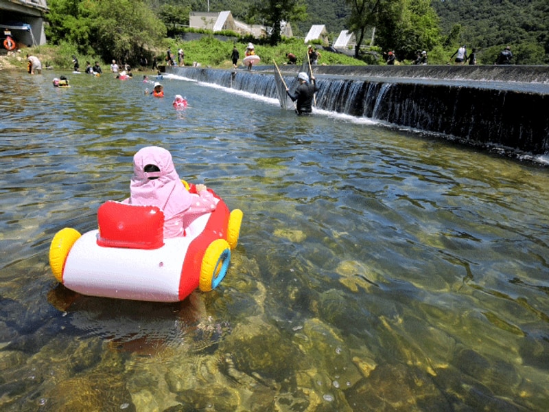 강원도 원주 당일치기 가능한 계곡 캠핑장 칠봉송정캠핑장