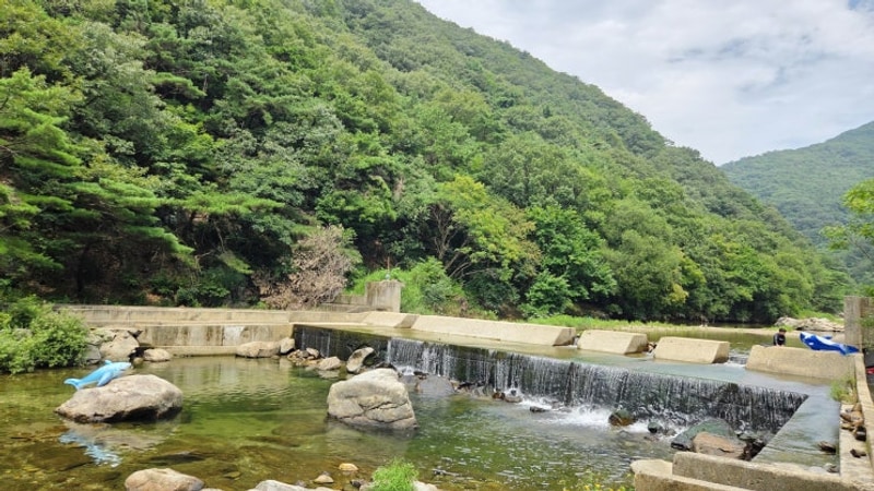서울 근교 경기도 양평 노문야영장 계곡 캠핑 아이와 함께한...