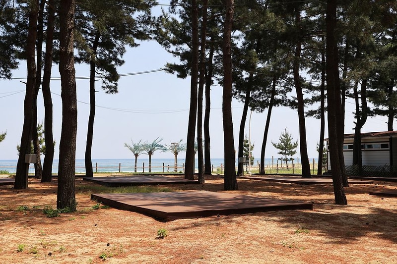 북분솔밭캠핑장 시설 사진 22