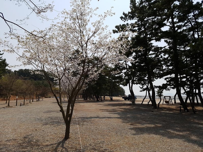 나라펜션캠핑장 시설 사진 6