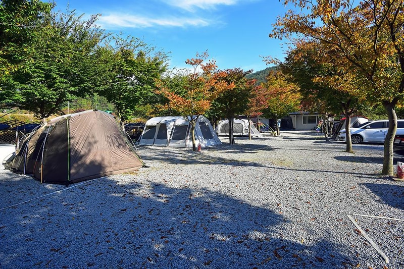 월성오토캠핑장 시설 사진 4