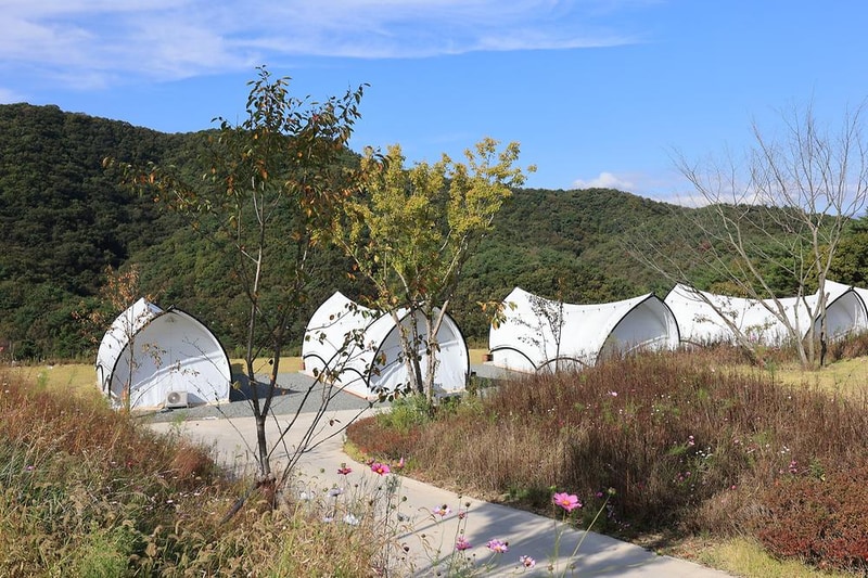 별숲글램핑 시설 사진 16