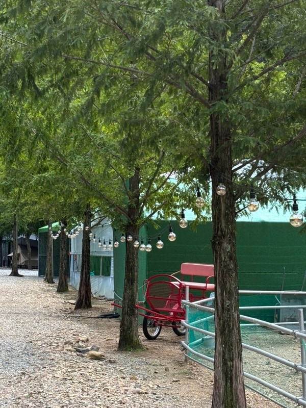 [문경 리우 캠핑장] 그래가, 경북캠핑장, 경북가족캠핑장