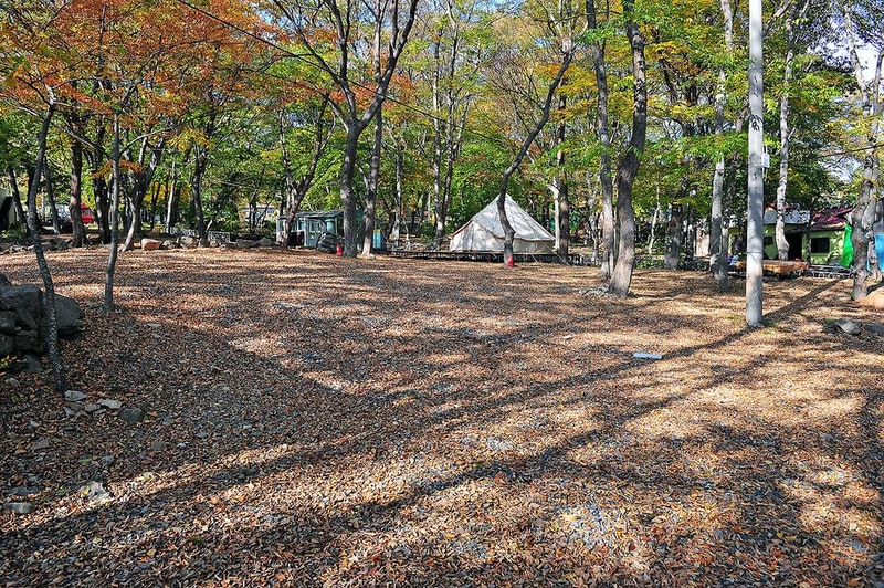 숲속가든 캠핑장 시설 사진 1