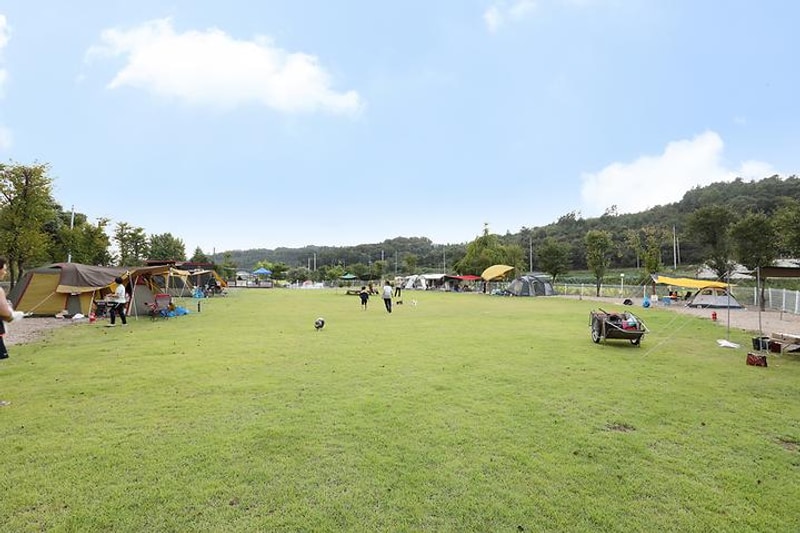 피플앤독 힐링캠핑장 대표 사진