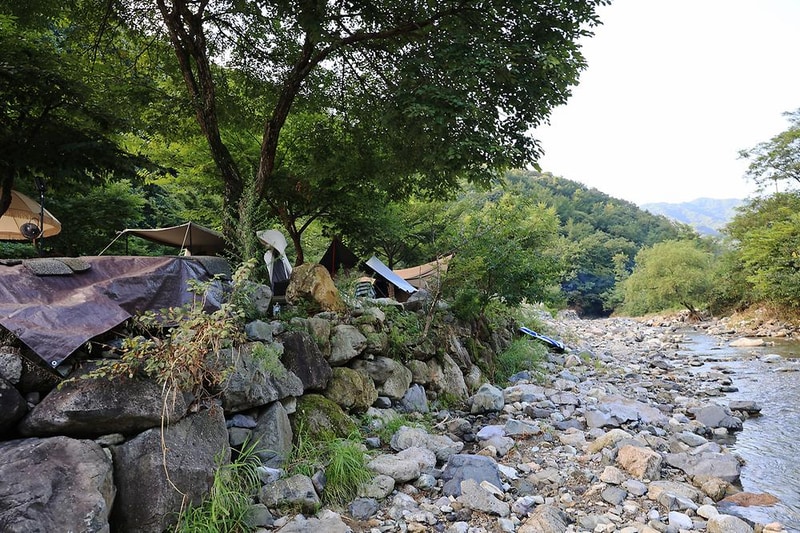 담터 금학캠핑장 시설 사진 8