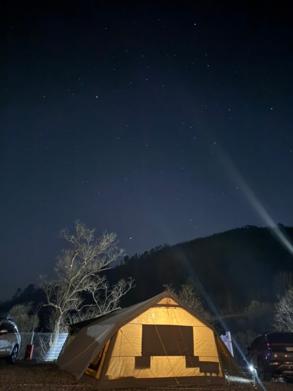 강원도 횡성 애견동반가능 캠핑장 월현포레스트 이지캠핑존