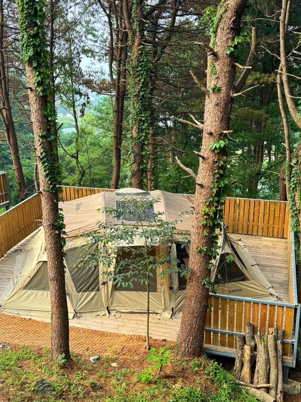 단체 카페,선택적고립 캠핑장 근처, 가평 수목원 카페 추천