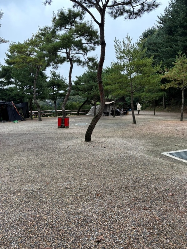 양주 안태울캠핑장 파쇄석 캠핑 대만족 후기