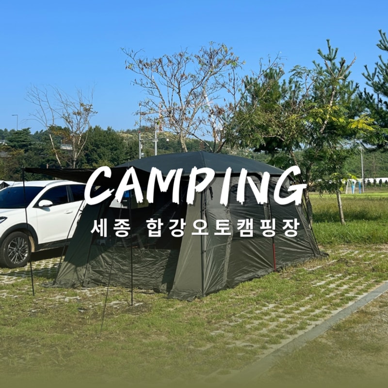 세종캠핑장 세종합강캠핑장 캠핑카존 대형 31번 후기