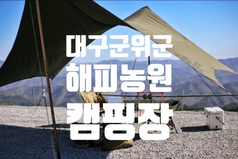 대구군위군해피타임농원 스테이700에서의 특별한 가을 캠핑