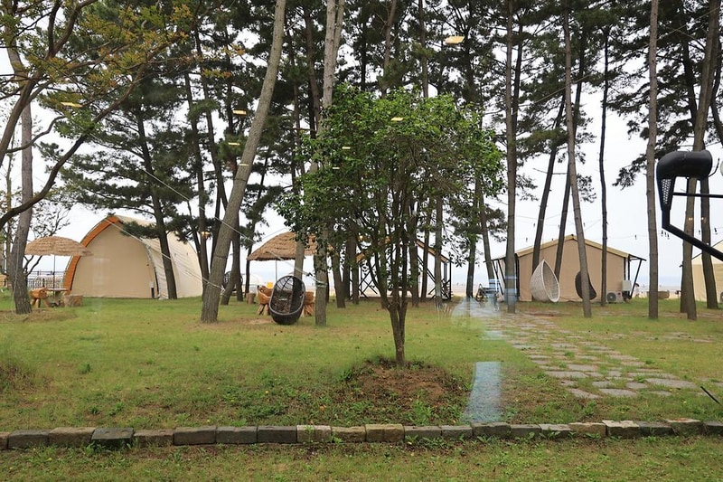 청포대솔밭야영장 시설 사진 3
