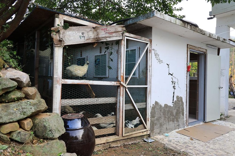 버드하우스 캠핑장 시설 사진 47