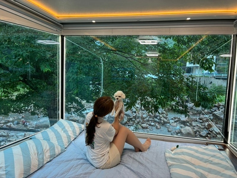 하동 지라산벚꽃카라반캠핑장 후기 (애견동반)