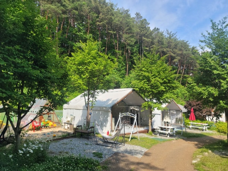 [글램핑] 충북 제천 글램핑추천 수피아글램핑펜션