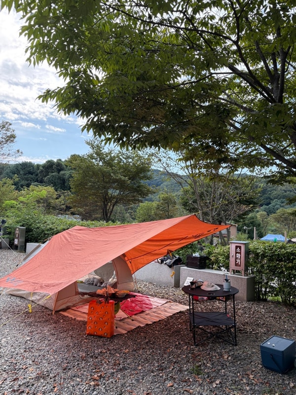 [군포] 초막골생태공원 느티나무 야영장 일요일 당일치기 캠핑...