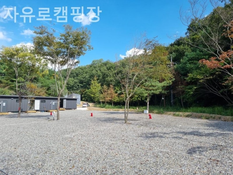 파주 캠핑장 자유로캠핑장 자연 속에서 즐기는 힐링 캠프