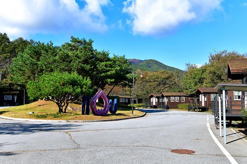 계곡 소리 들으며 힐링하는 가평 연인산 다목적캠핑장-자연 속...