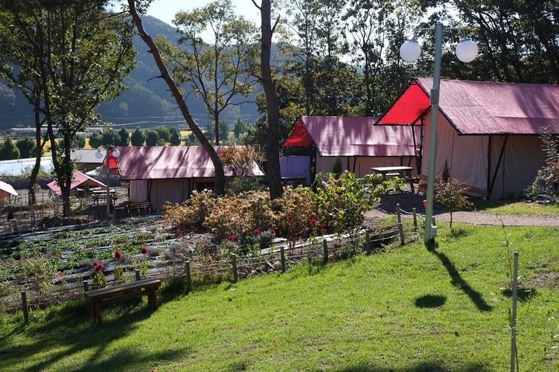 화순정원글램핑관광농원 시설 사진 5